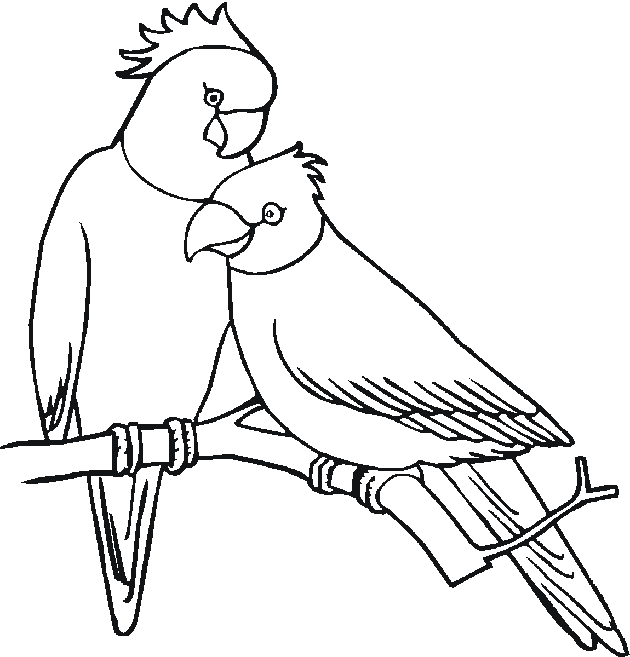 caring for pets coloring pages