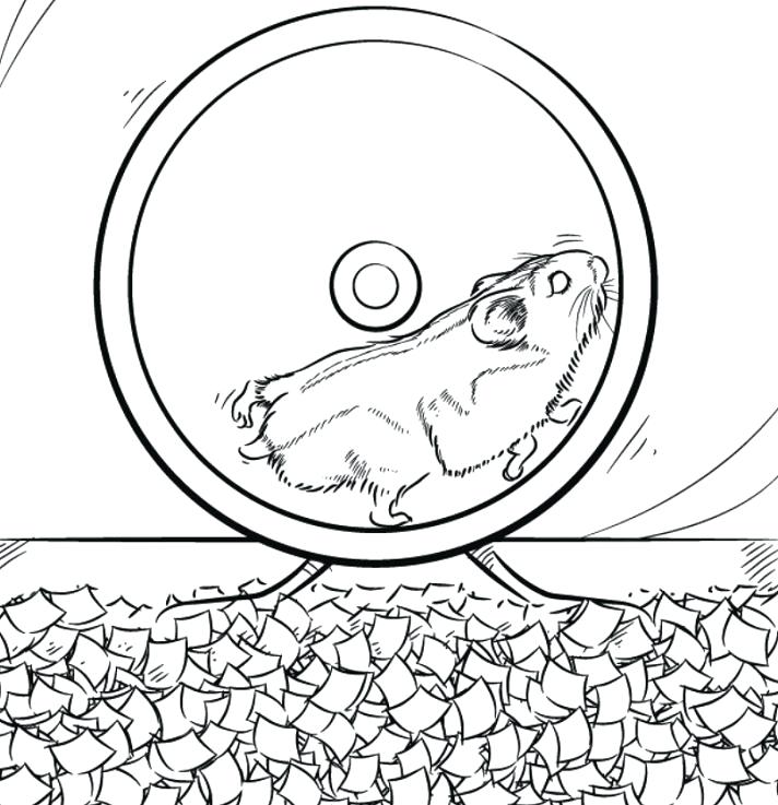 Pet Hamster Coloring Page
