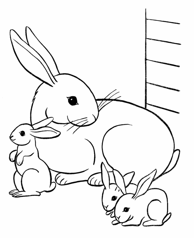 Pet Rabbit Family Coloring Page
