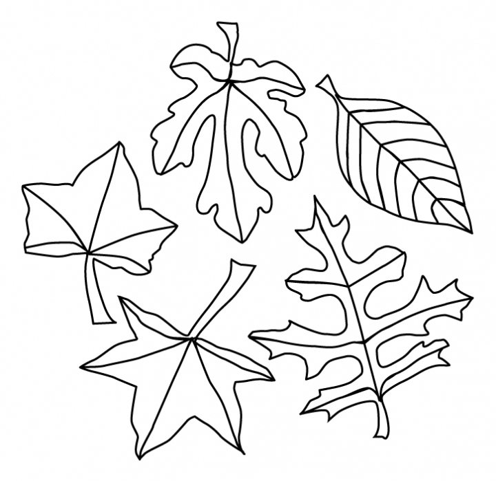 Fall Leaves Coloring Pages - Best Coloring Pages For Kids