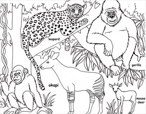 Printable Jungle Coloring Pages