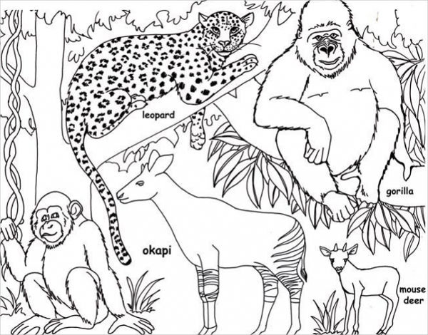 jungle-coloring-pages-best-coloring-pages-for-kids