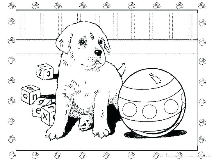 Printable Pet Dog Coloring Page