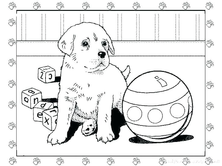 Pets Coloring Pages - Best Coloring Pages For Kids