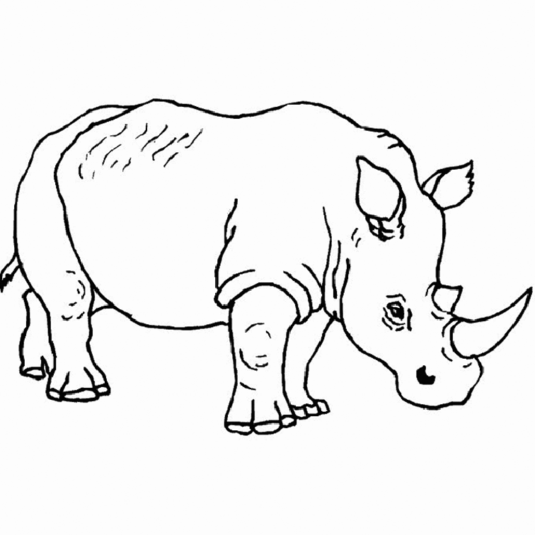 Rhino Coloring Page