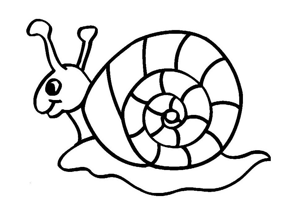 Download Insect Coloring Pages - Best Coloring Pages For Kids