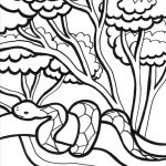 Snake Jungle Coloring Pages