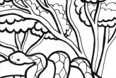Snake Jungle Coloring Pages