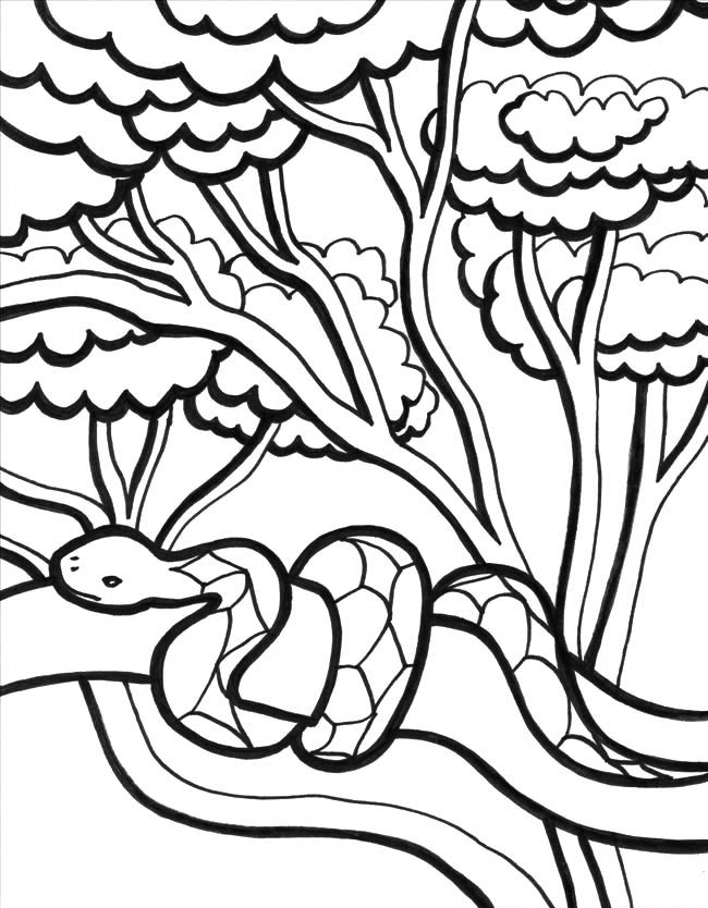 jungle-coloring-pages-best-coloring-pages-for-kids