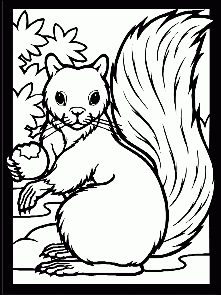 Squirrel Easy Fall Coloring Pages