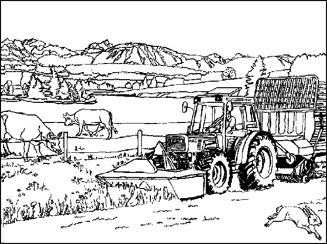 Tractor - Farm Coloring Pages