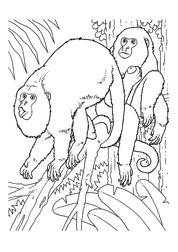 Tree Monkeys Coloring Page