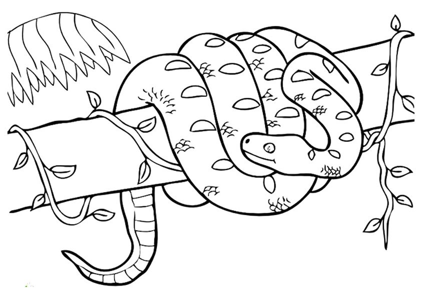 Tree Snake Coloring Page