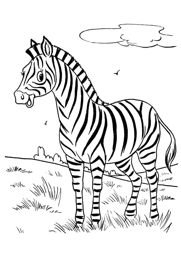 Zebra Coloring Page