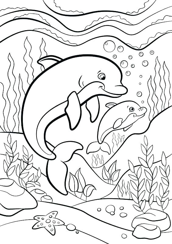 Cute Animal Coloring Pages for Adults