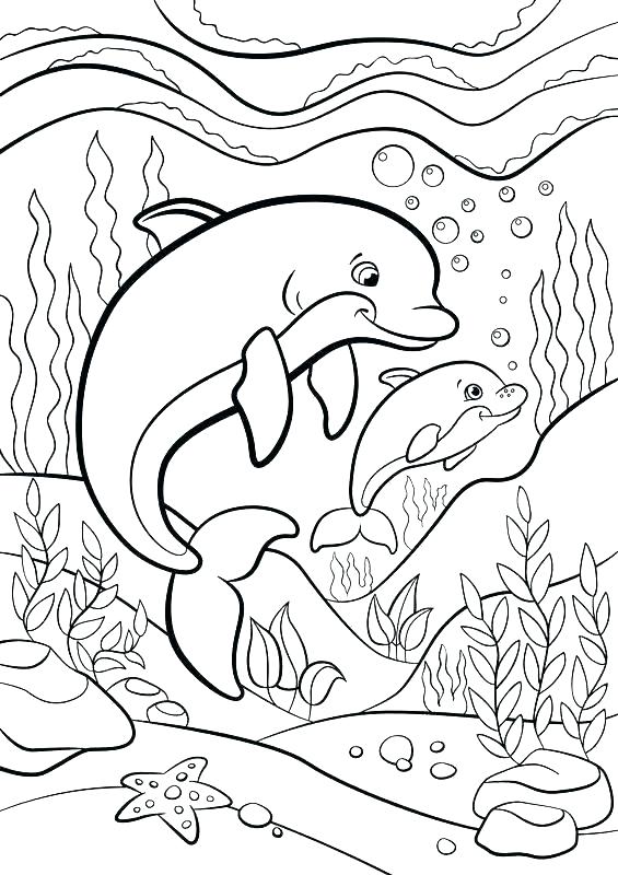 Cute Animal Coloring Pages - Best Coloring Pages For Kids