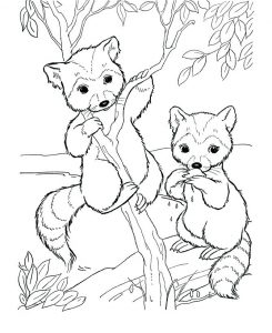 Cute Animal Coloring Pages - Best Coloring Pages For Kids