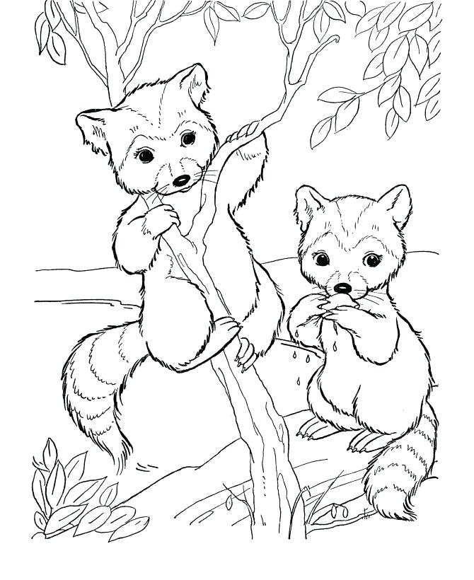 Cute Animal Coloring Pages to Print