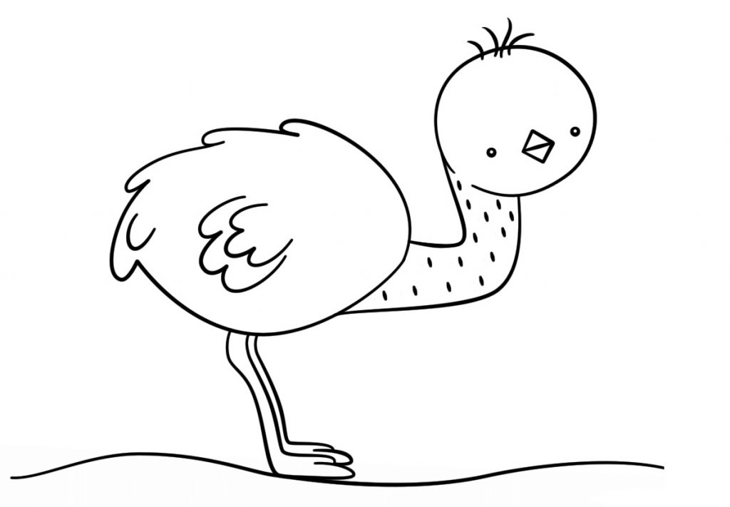 Cute Baby Ostrich Coloring Page
