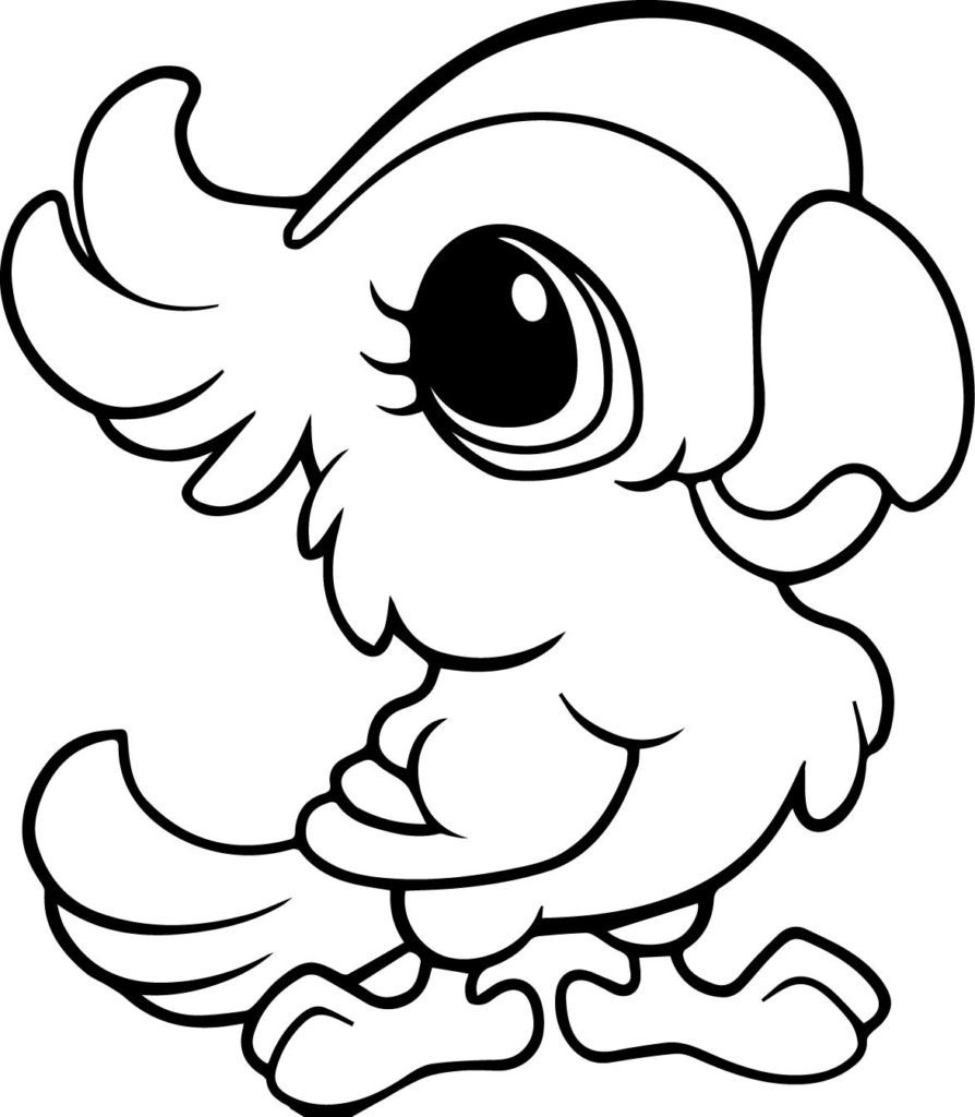 Cute Baby Parrot Coloring Page