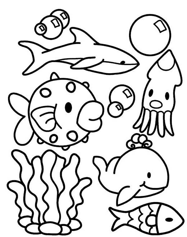 Cute Ocean Creatures Coloring Page