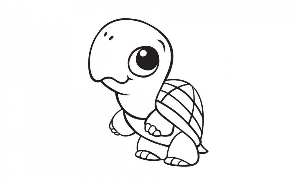 Cute Baby Turtle Coloring Page