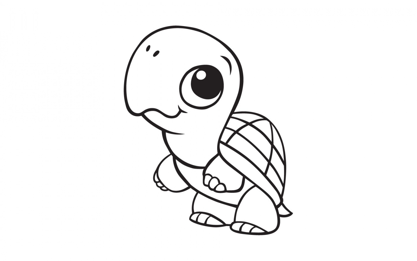 coloring cute animal turtle baby