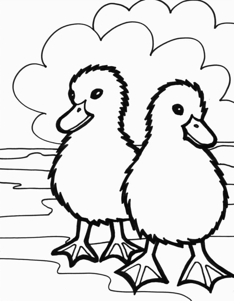 Download Cute Animal Coloring Pages - Best Coloring Pages For Kids