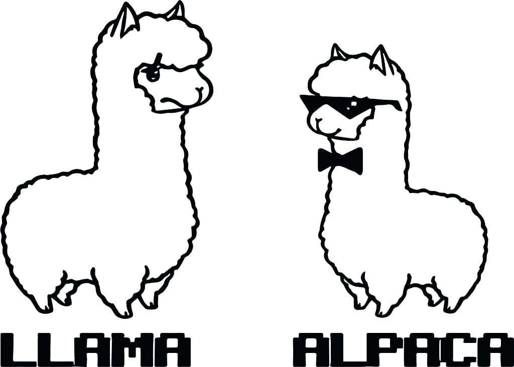 Llama and Alpaca Animal Coloring Page