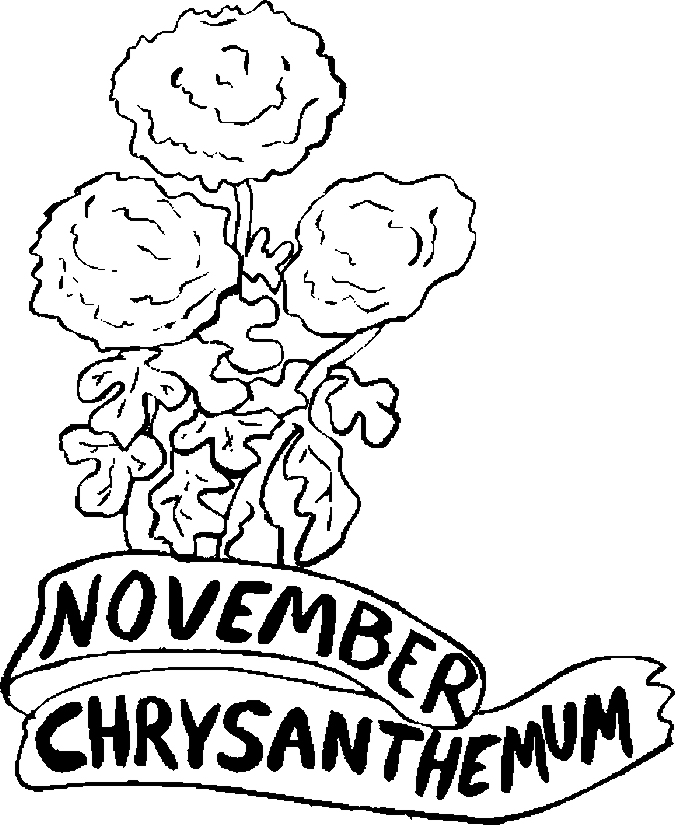 November Chrysanthemum Coloring Page