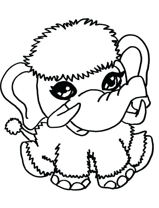 Baby Animal Coloring Page Elephant