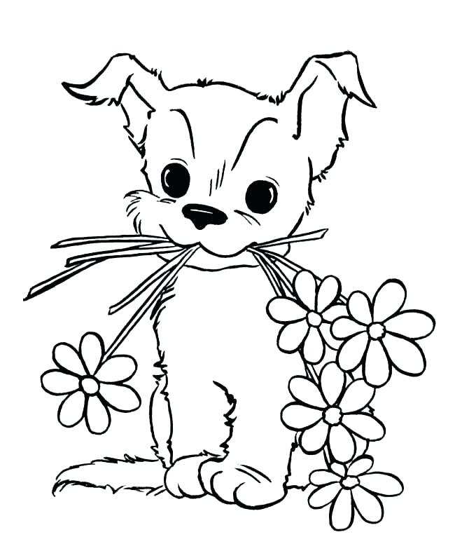 Download Baby Animal Coloring Pages - Best Coloring Pages For Kids