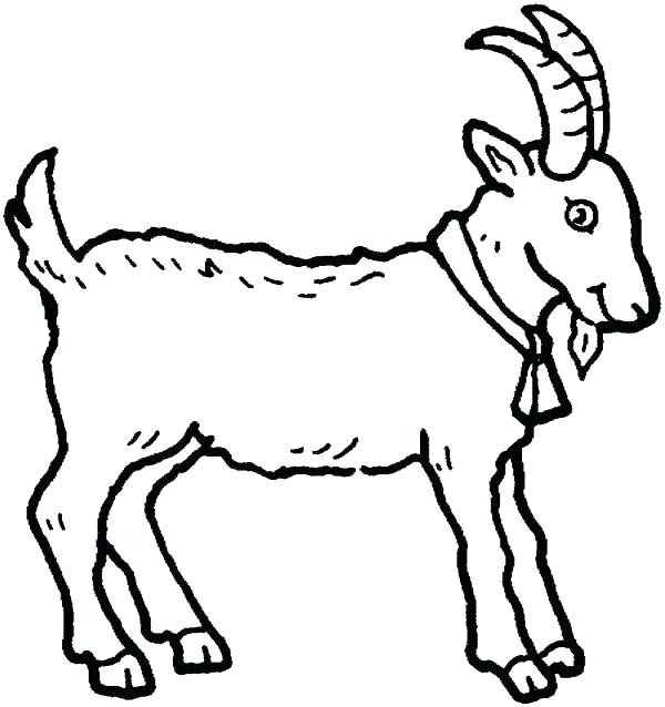 Baby Animal Coloring Pages Goat