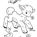 Baby Animal Coloring Pages Lamb