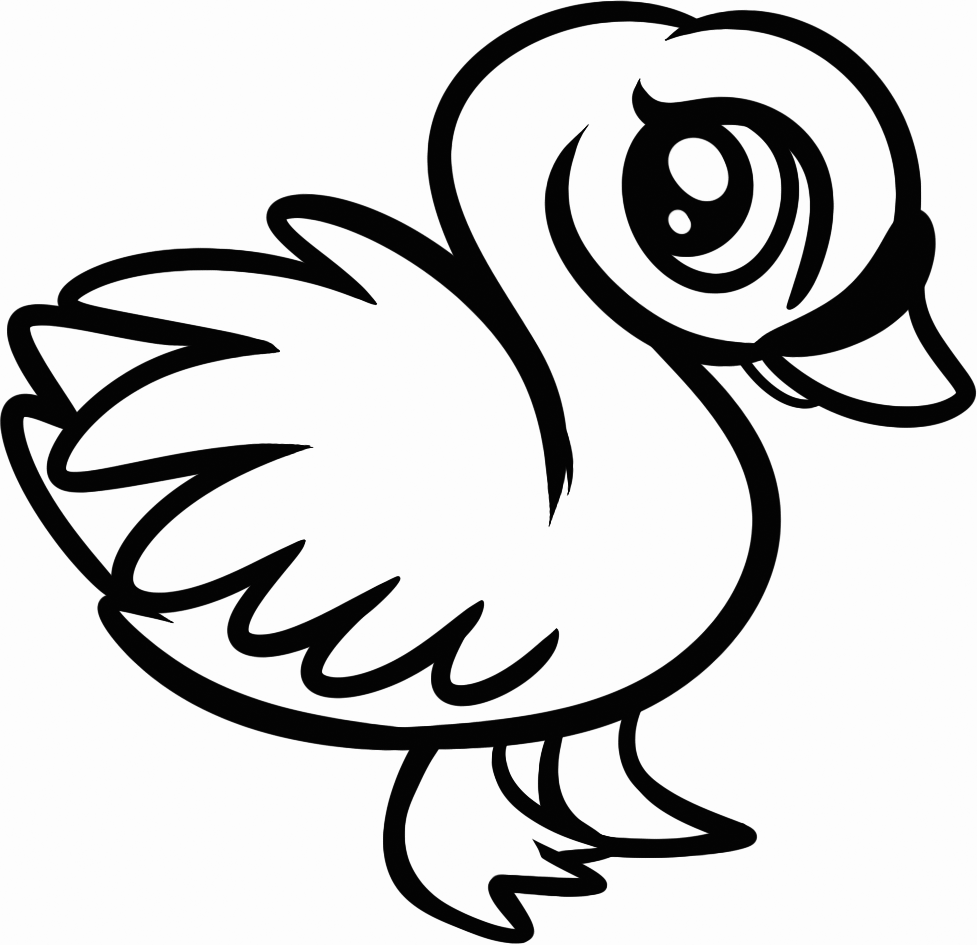 Baby Animal Coloring Pages Swan