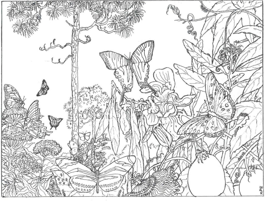 Butterfly Scene Coloring Pages for Adults