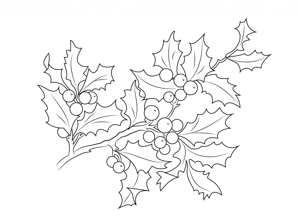 Christmas Holly Coloring Pages