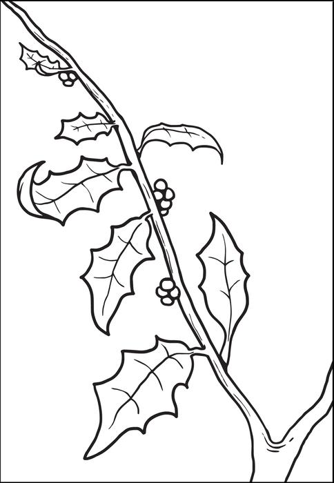 Coloriages Coloriage Holly Hobbie Digi Overstock Sketch Coloring Page Coloriages Coloriage Holly Hobbie Digi Overstock Sketch Coloring Page