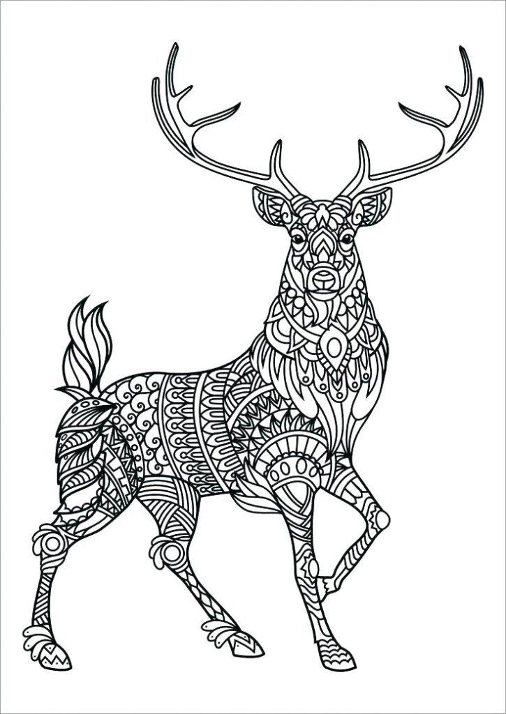 Coloring Pages for Adults Online