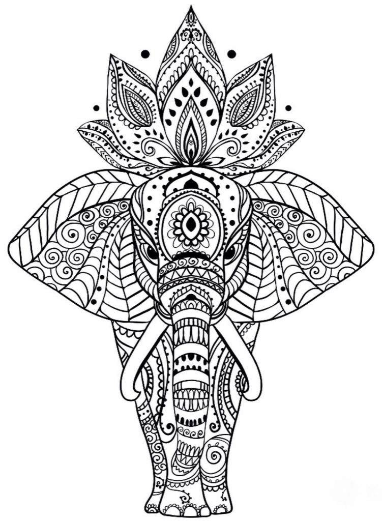 Elephant Coloring Pages for Adults