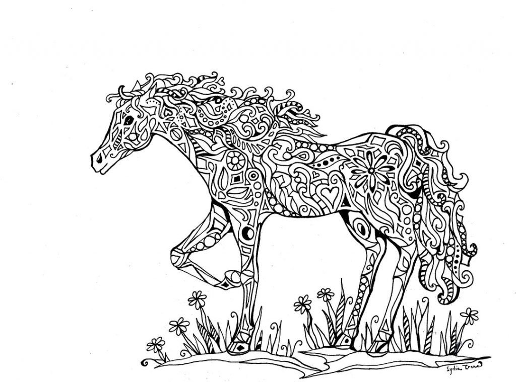 Horse Coloring Pages for Adults