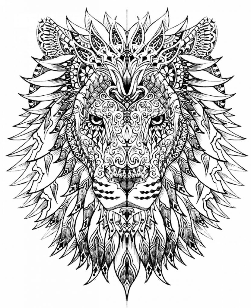 Lion Coloring Pages for Adults