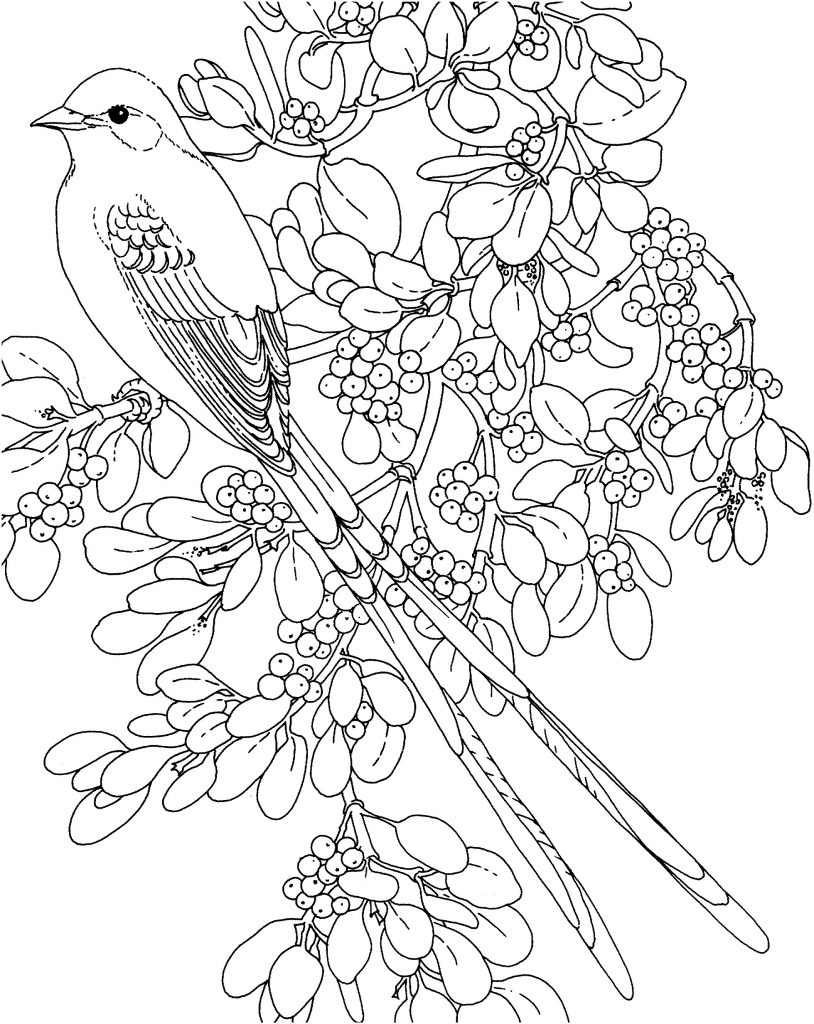 Mistletoe Christmas Coloring Page