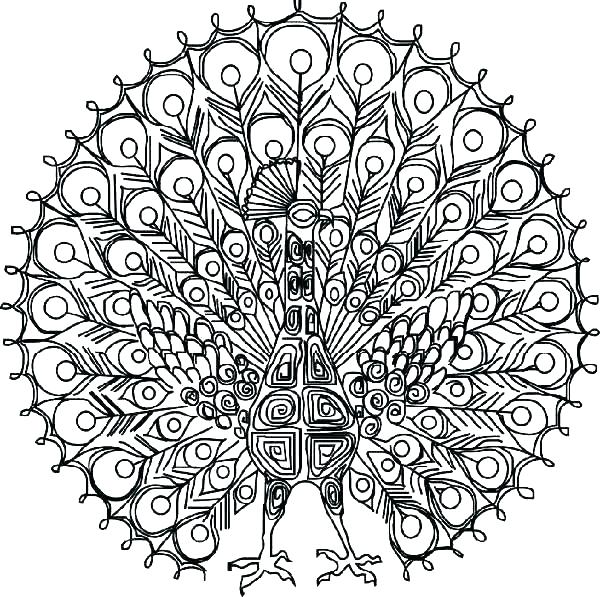 Peacock Coloring Pages for Adults
