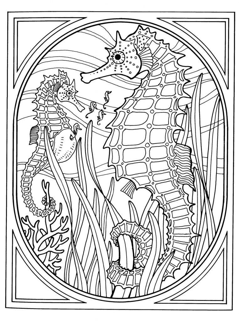 Seahorse Coloring Pages for Adults