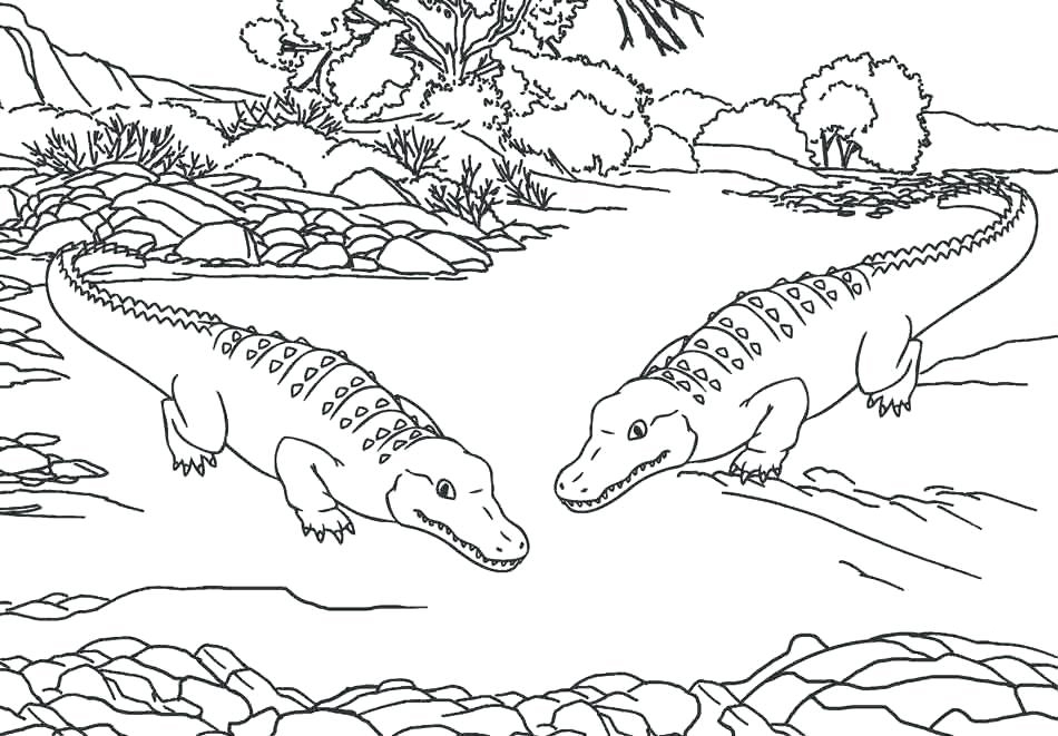 zoo animals coloring pages best coloring pages for kids