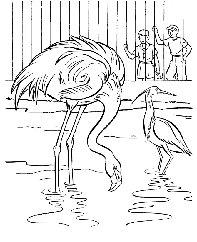 Zoo Animals Coloring Pages - Best Coloring Pages For Kids