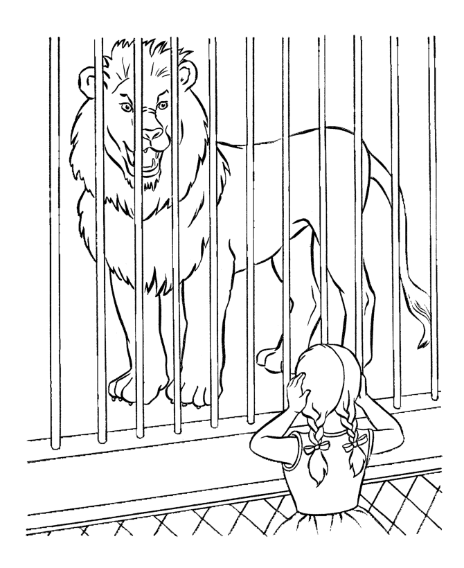 Lion - Zoo Animals Coloring Pages