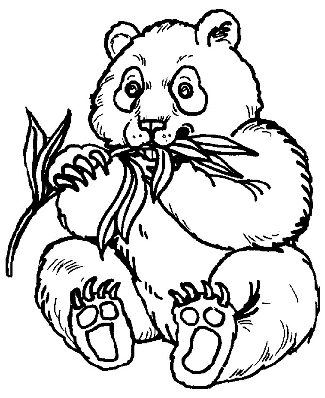 Zoo Animals Coloring Pages   Best Coloring Pages For Kids
