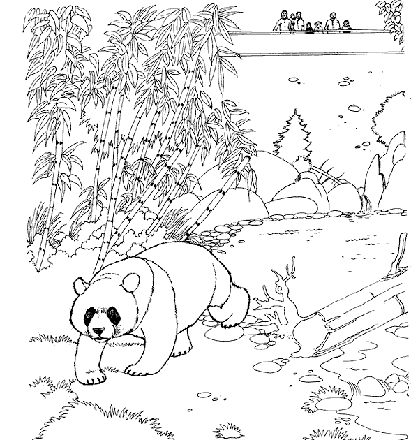 Panda Zoo Animals Coloring Pages